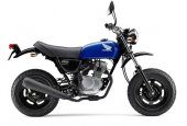 2011 Honda Ape 50 photo